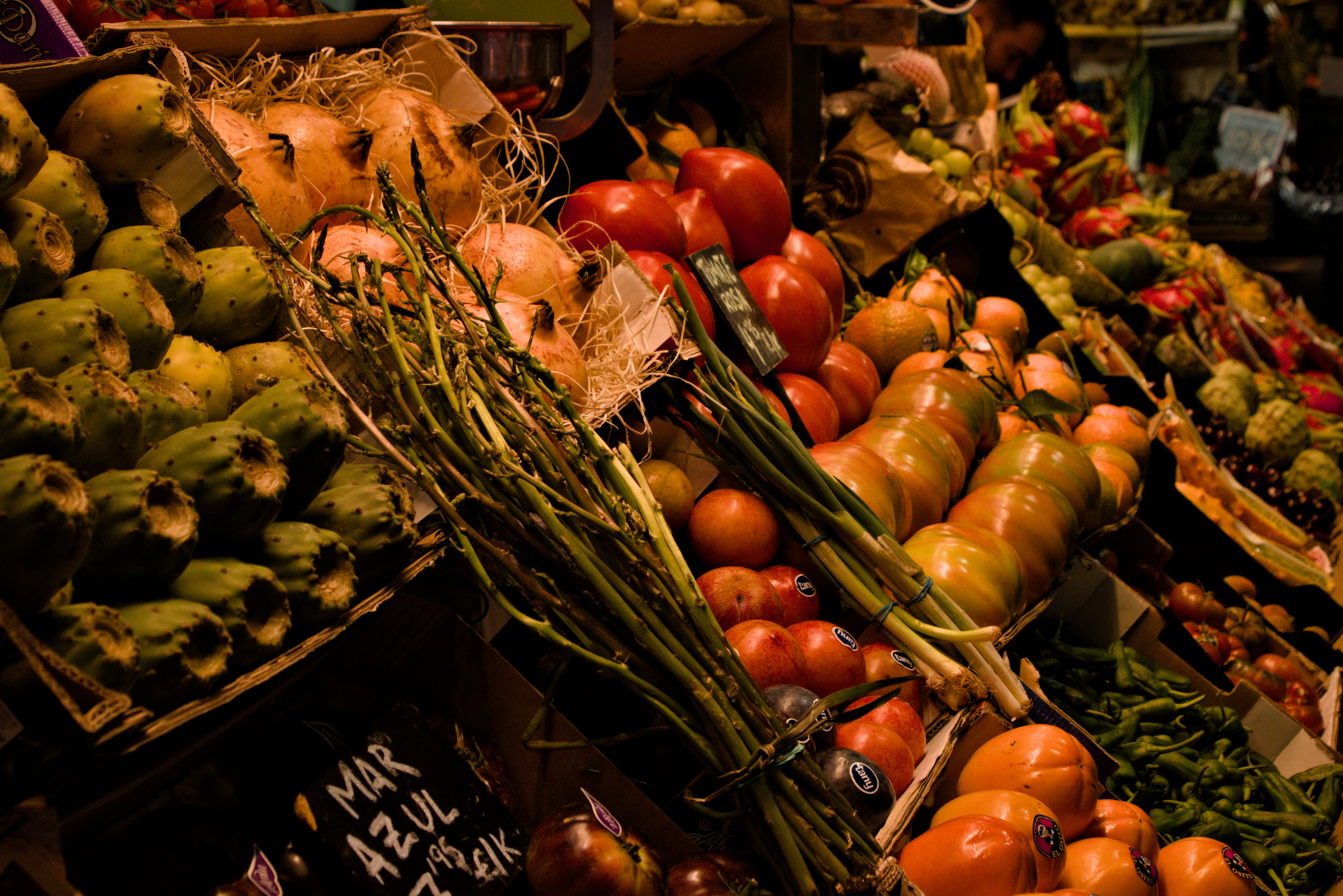 Tamron 28-300mm F3.5-6.3 (EF) - _I4A5022.webp